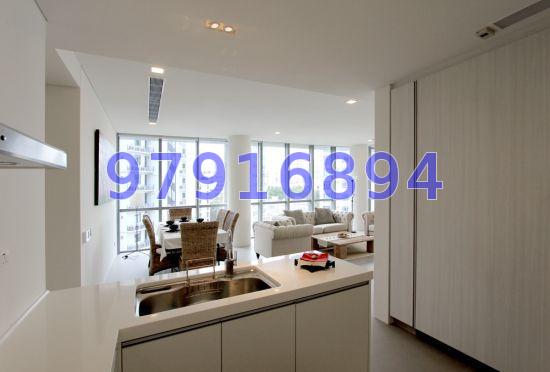 Fifteen Robin (D10), Condominium #65972882